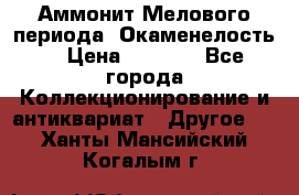 Аммонит Мелового периода. Окаменелость. › Цена ­ 2 800 - Все города Коллекционирование и антиквариат » Другое   . Ханты-Мансийский,Когалым г.